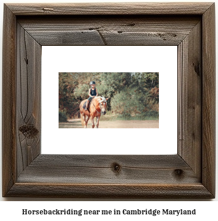 horseback riding near me in Cambridge, Maryland